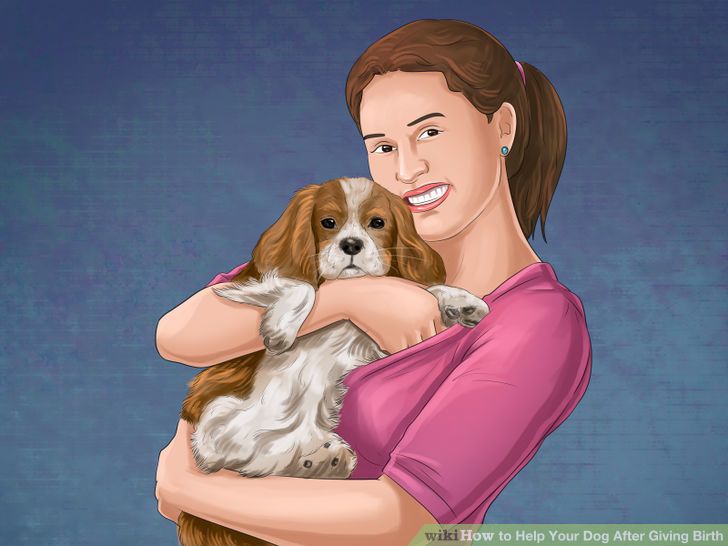 Help Your Dog After Giving Birth Step 23 Version 3.jpg