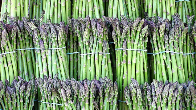 What's In Season This Spring: The Freshest Produce and How to Use It