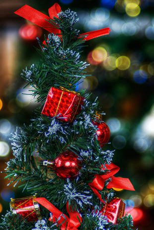 "Merry Christmas Tree" captured by Richard Deane. (Click image to see more from Richard Deane.)