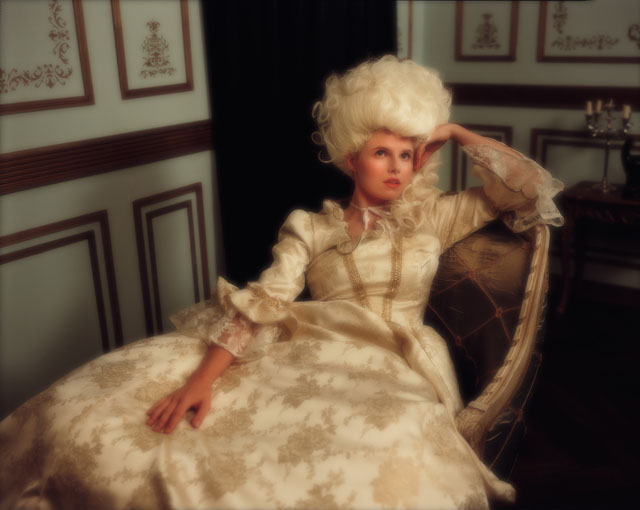 A royal Portrait in the salon 1783