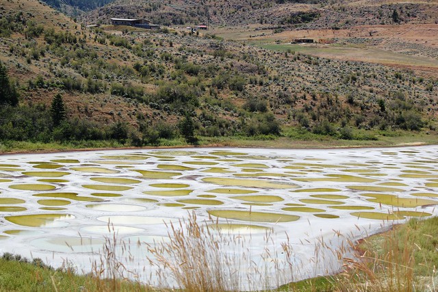 Osoyoos Spotted Lake