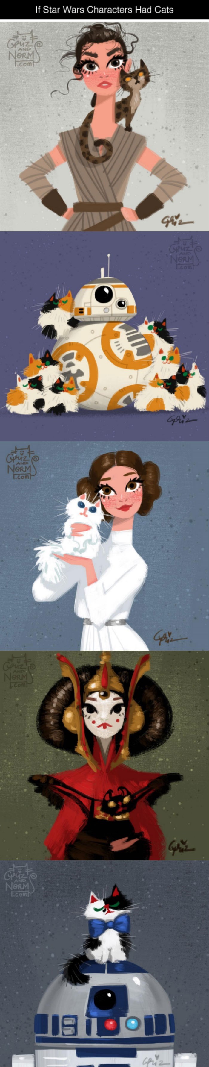 Illustrations of If Star Wars Characters Had Cats