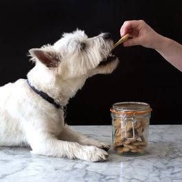 How to Make Homemade Dog Biscuits