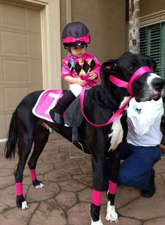 A jockey and her...