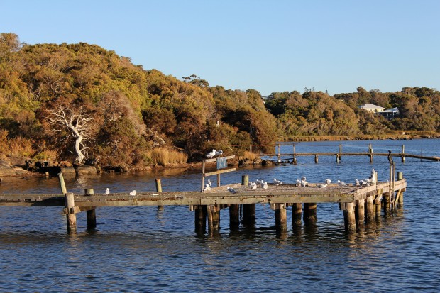 Blackwood River, Augusta, Australia