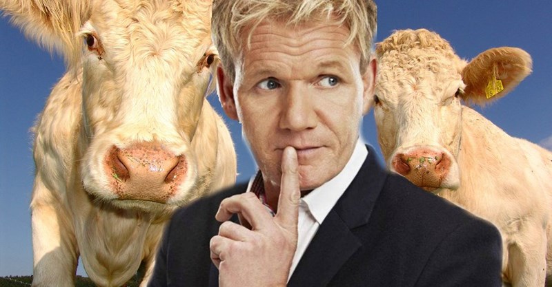 gordon ramsay twitter vegans Vegans Did Not Take Kindly to Gordon Ramsay's Joke on Twitter