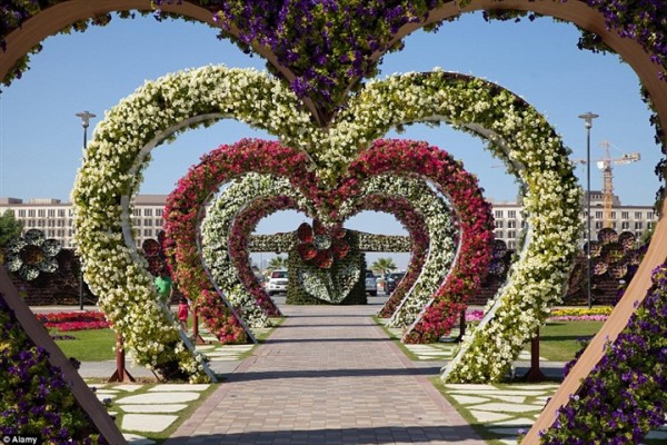 بالصور أكبر حديقة أزهار العالم