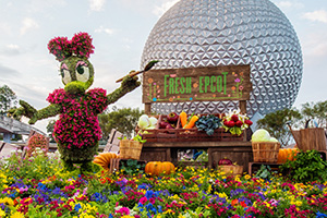 Daisy Duck Topiary at the Epcot Flower and Garden Festival at Walt Disney World Resort