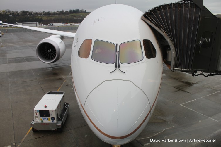 The nose of the United Dreamliner