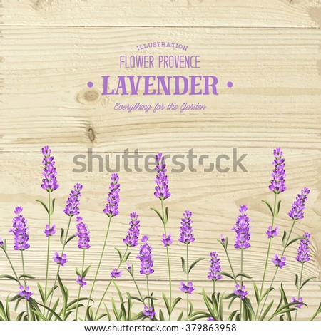 The lavender bouquet.