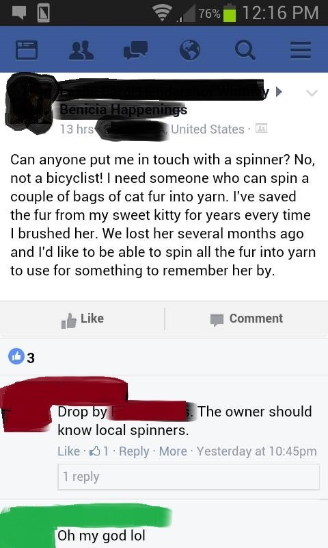 crazy cat lady,Rumpelstiltskin,facebook,spinner