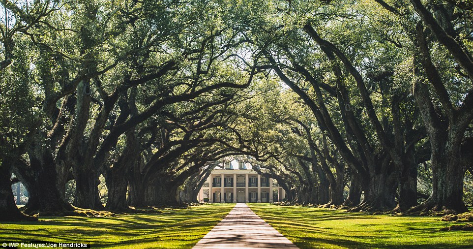 The family have even visited the Oak Alley Plantation in New Orleans during their trip to explore the United States 