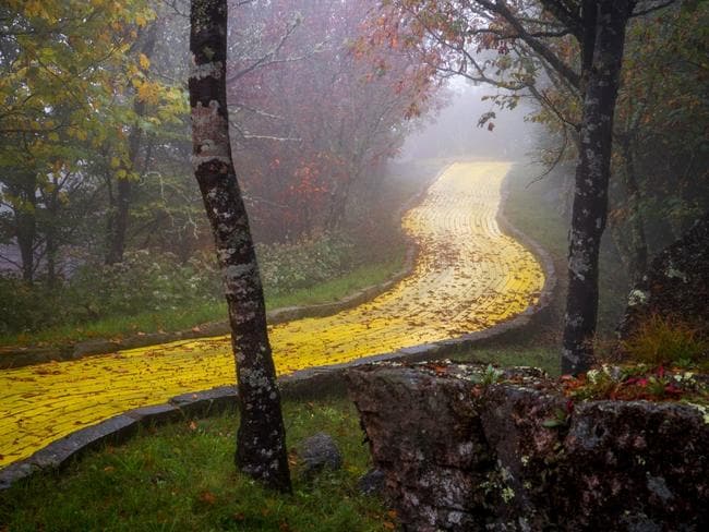 Follow the yellow brick road ... Picture: Johnny Joo Photography