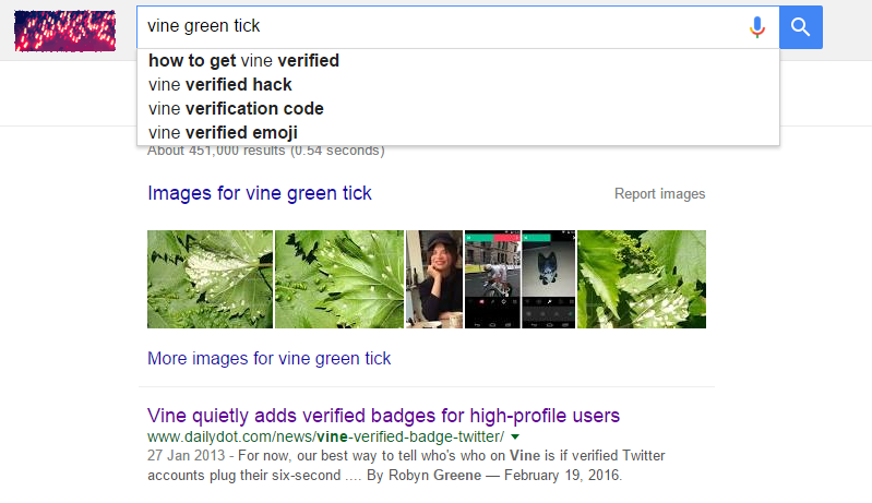 A screenshot of Google search results for "vine green tick", showing the autocomplete results "how to get Vine verified", "Vine verified hack", "Vine verification code" and "Vine verified emoji". The image results show a number of pictures of vine leaves and one of Vine video screenshots. Below, the top search result reads "Vine quietly adds verified badges for high-profile users".