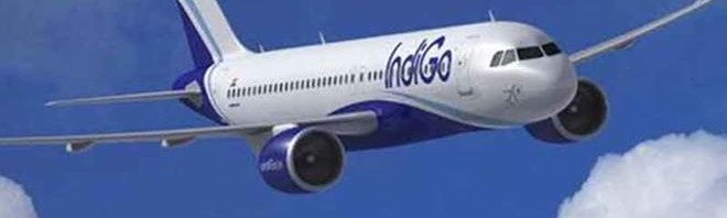 IndiGo to add 14 new flights including between Delhi-Srinagar from next month