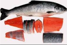 Rahasia Manfaat Ikan Salmon yang Wajib Diketahui