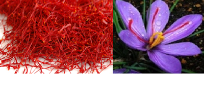 Saffron Herba Paling Mahal Didunia