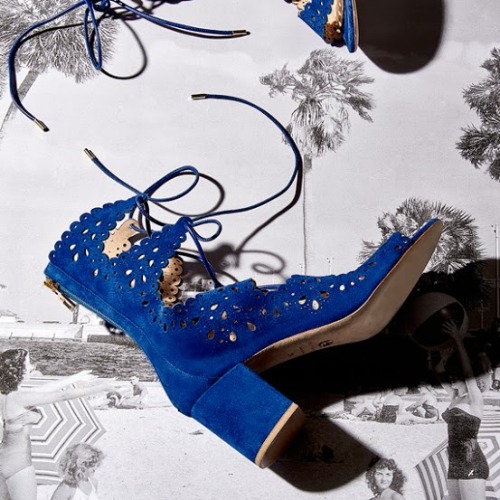 A “Blue Suede Shoes" comeback on the...