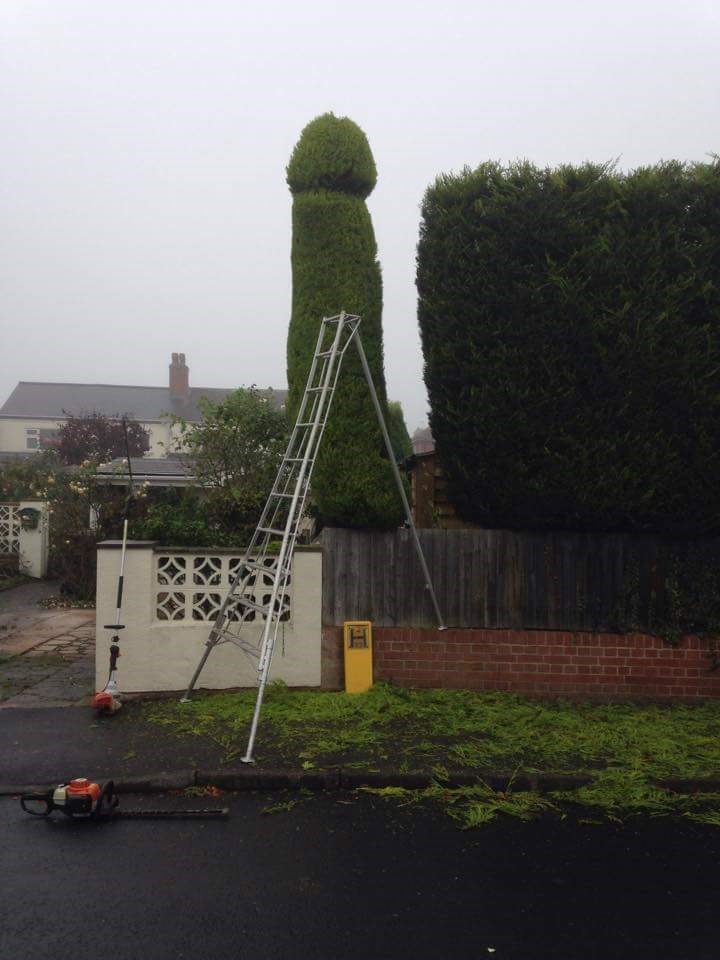 funny win image landscaper gets revenge for unpaid bill with perfectly symbolic bush