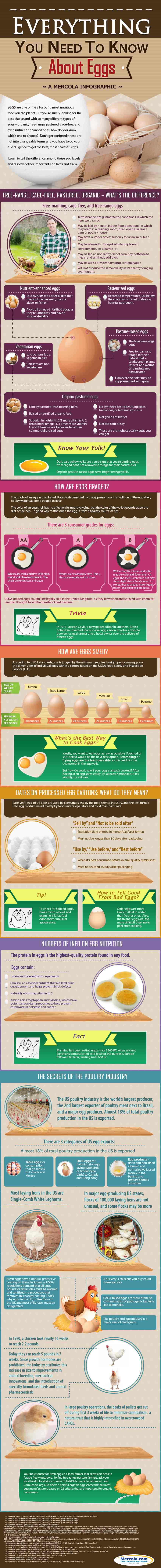 eggs-nutrition-facts