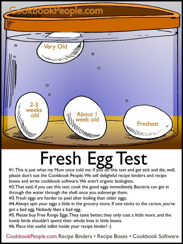 fresh-eggs