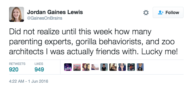 twitter,zoo,parenting,gorilla
