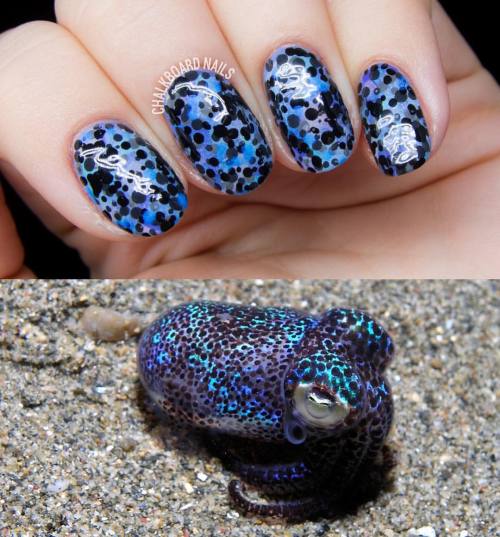 Bobtail squid nail art for animal print day of the #31dc2015
