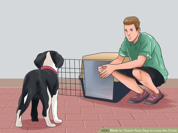 Teach Your Dog to Love the Crate Step 20.jpg