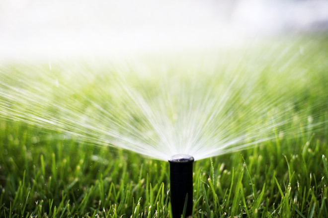Let the Internet Keep Your Sprinklers From Flooding the Lawn