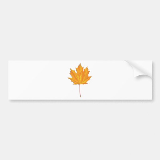 Maple autumn leaf bumper sticker