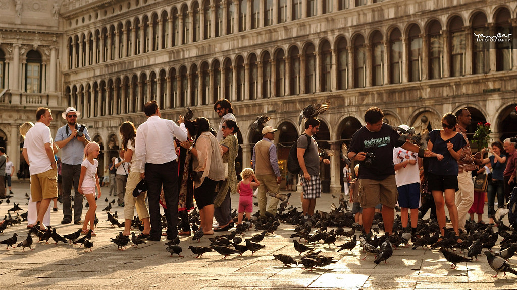 Les Pigeons de San Marco