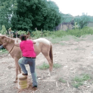 funny fail gif getting on a horse