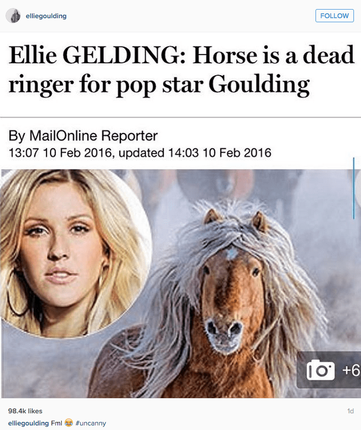 funny social media image ellie goulding accepts horse comparison in article 