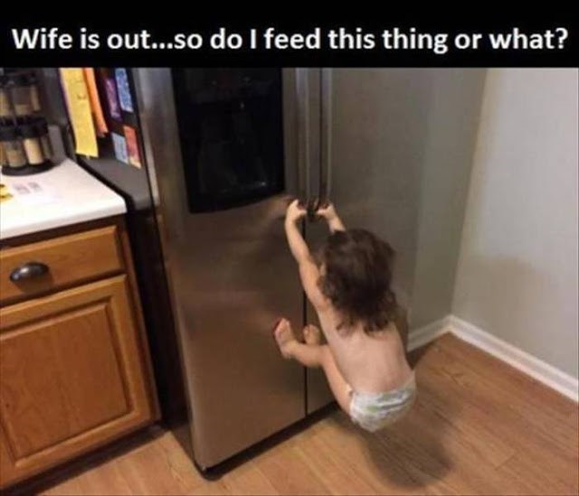 funny-parent-quotes-dont-feed-the-animals