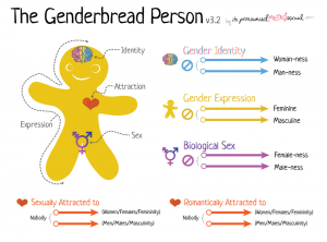 gender bread man-gender propaganda
