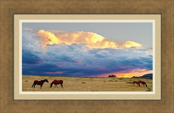 Horses On The Storm Panorama Framed Print