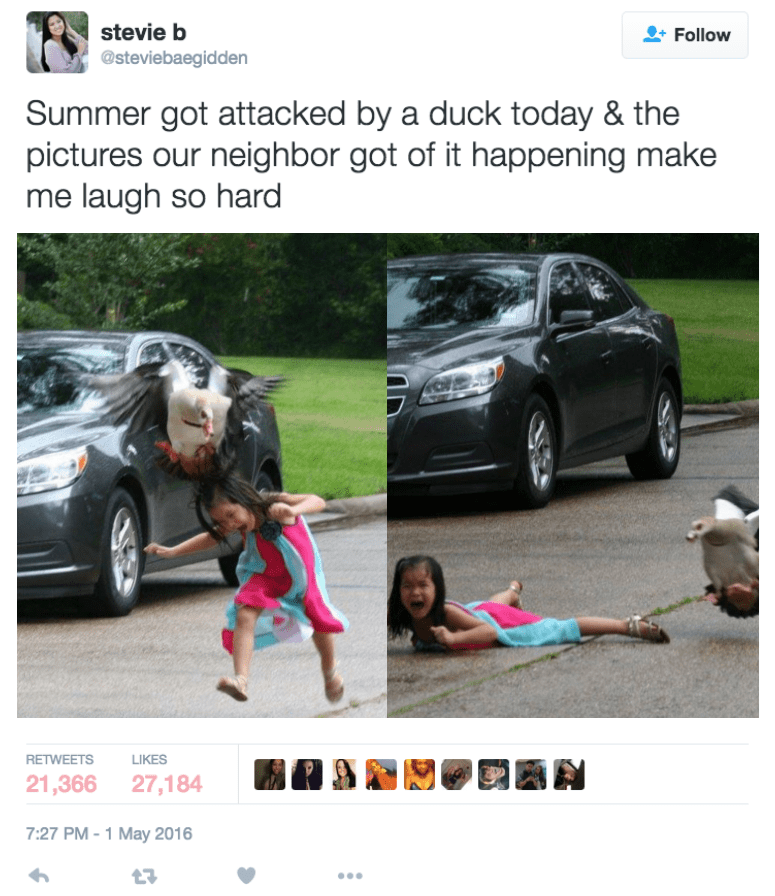 kid-attacked-by-duck-parenting-posts-picture-fail