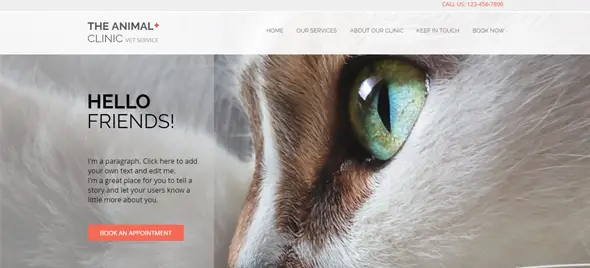 Animal-Clinic website template