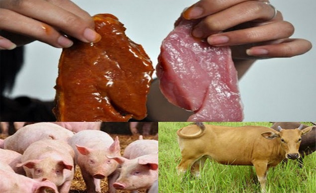 Waduh! Daging Sapi Dicampur Babi, Kadin DKI Salahkan Jokowi