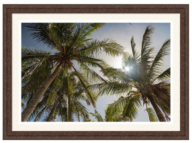 Tropical Sun Custom Framed Prints