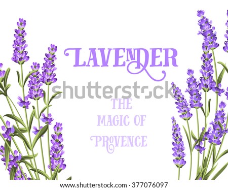The lavender elegant card.
