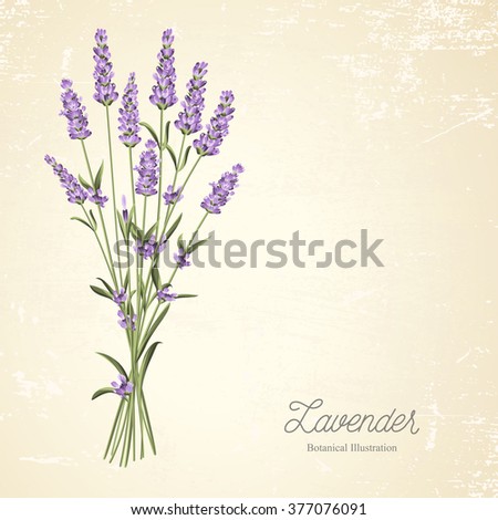 Lavender elegant card.