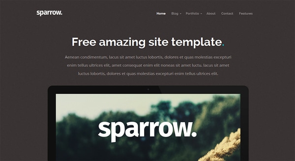 sparrow-multipurpose-template