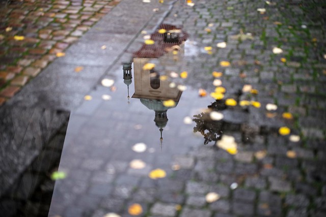 Prague in a Puddle