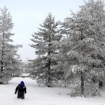Fotos de Laponia Finlandesa, Teo en los bosques nevados