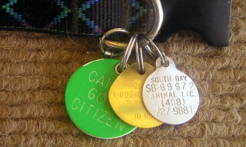 Use Pet Tag Engraving For Cheap, Durable Luggage or Key Tags
