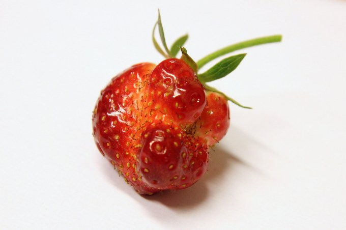 Odd strawberry