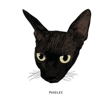 An Illustrated Study of Black Cats, the “Little Aliens” of the Feline World