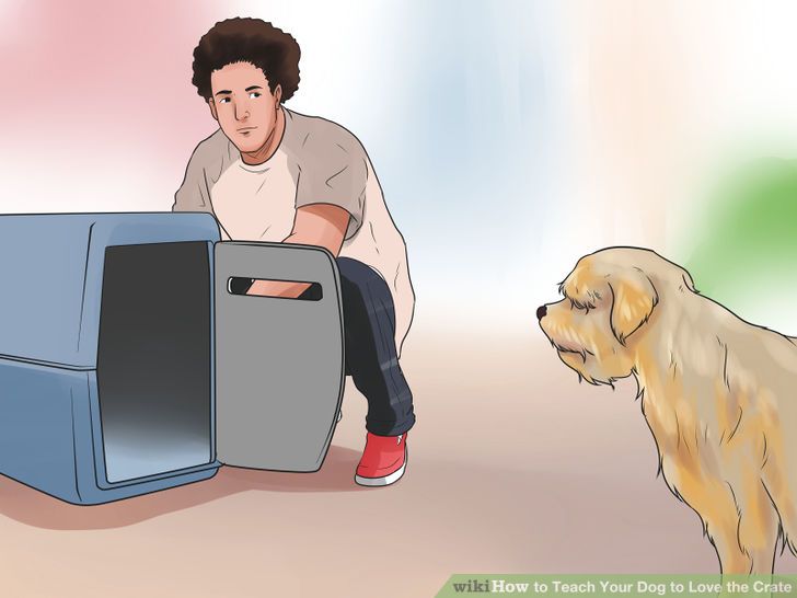 Teach Your Dog to Love the Crate Step 6 Version 3.jpg