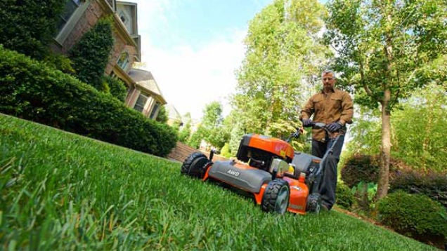 Maintain Your Curb Appeal with These Yard Maintenance Tips